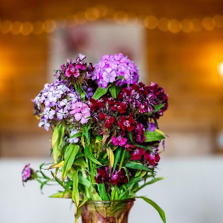 Blossom Cabin - Little Log Cabin In Wales Newtown  Ngoại thất bức ảnh