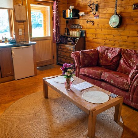 Blossom Cabin - Little Log Cabin In Wales Newtown  Ngoại thất bức ảnh