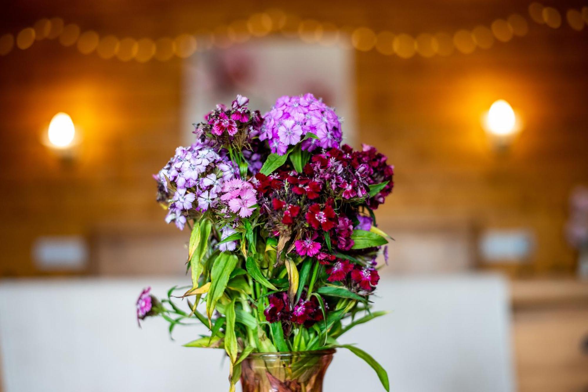 Blossom Cabin - Little Log Cabin In Wales Newtown  Ngoại thất bức ảnh