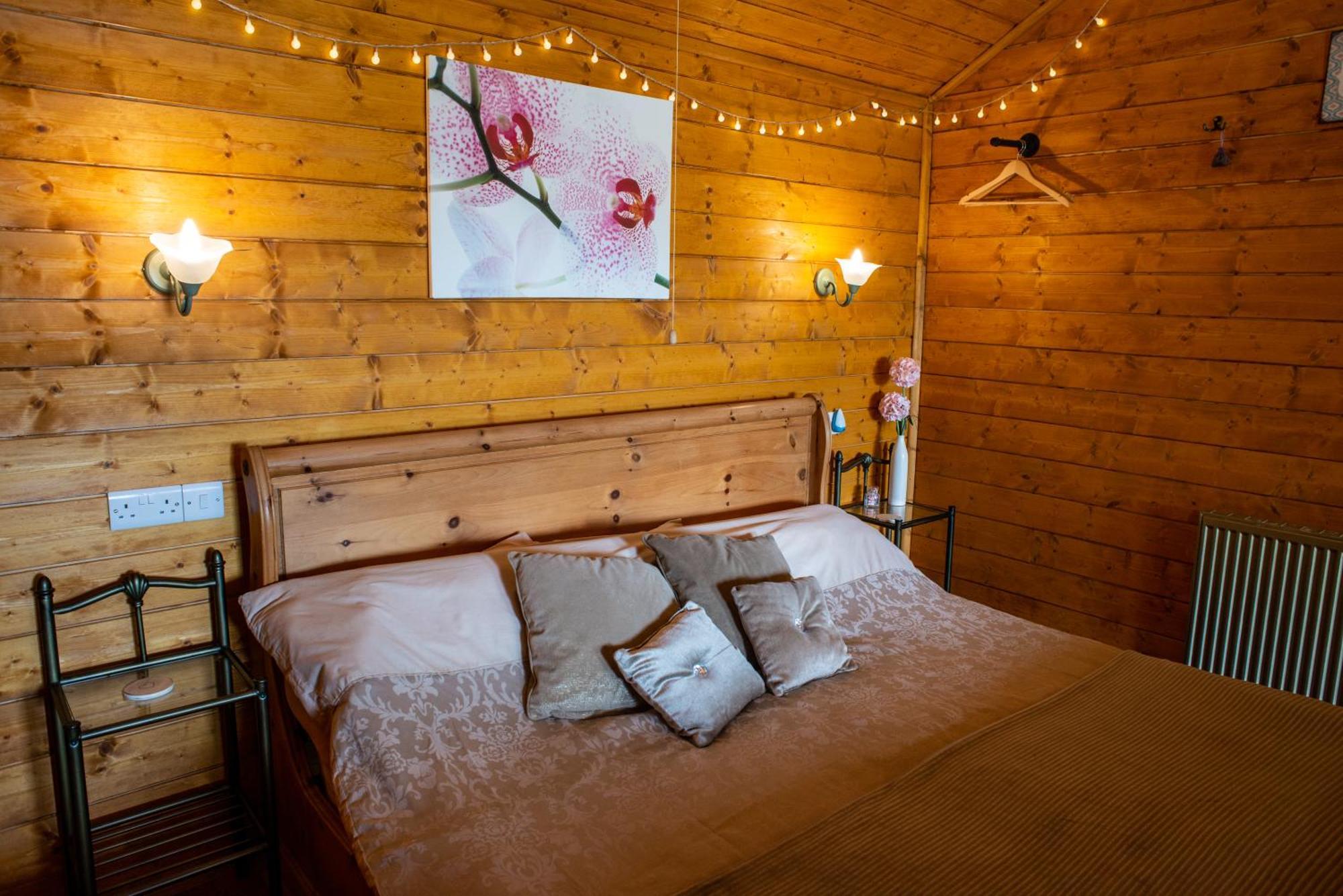 Blossom Cabin - Little Log Cabin In Wales Newtown  Ngoại thất bức ảnh