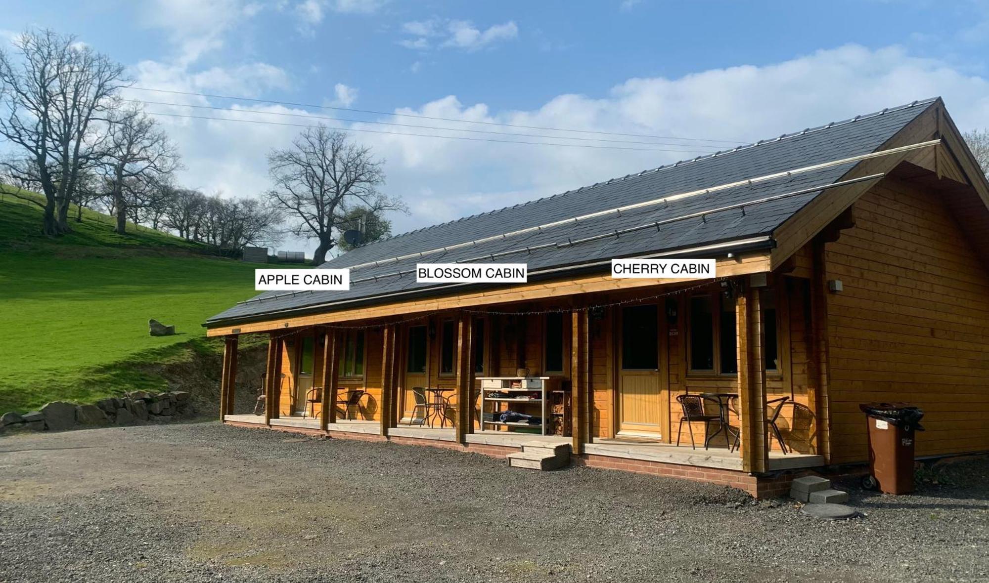 Blossom Cabin - Little Log Cabin In Wales Newtown  Ngoại thất bức ảnh